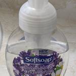 SoftSoap Foaming Soap Dispenser